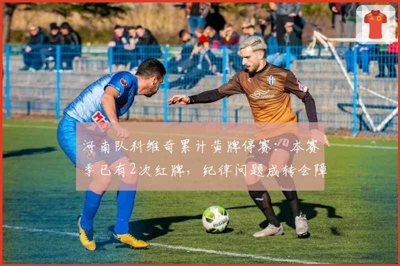 河南队科维奇累计黄牌停赛：本赛季已有2次红牌，纪律问题成转会障碍