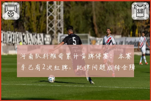 河南队科维奇累计黄牌停赛：本赛季已有2次红牌，纪律问题成转会障碍